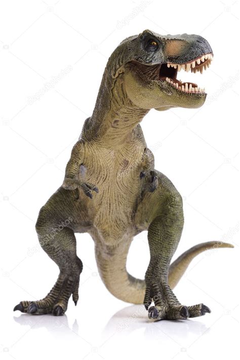 Imágenes Dinossauro Rex Dinosaurios Tiranosaurio Rex — Foto De Stock