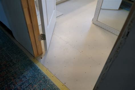 Have you ever wondered how to transform you bathroom floor into something unique? Bathroom Update - How to Install Floor Pops - The before picture of just our grey painted ...