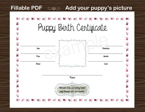 Puppy Birth Certificate Fillable PDF | Etsy