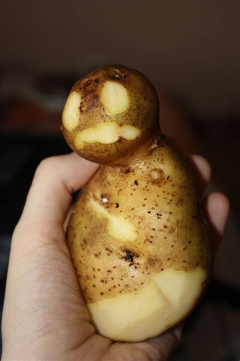 Funny Potato By Demonisha On Deviantart
