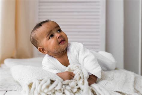 Happy 3 Month Old African American Baby Stock Photos Free And Royalty