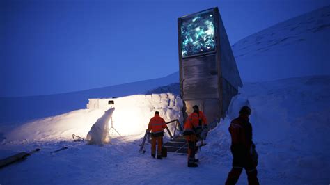 The Fail Safe Svalbard Seed Vault Meant To Save Us From Doomsday