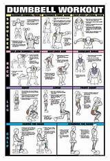 Chest Muscle Exercises Using Dumbbells Images