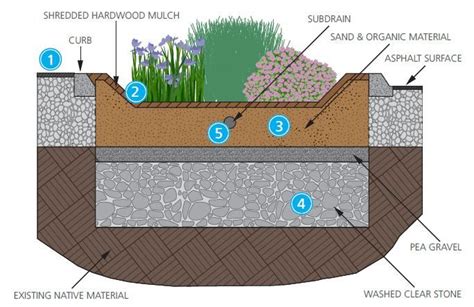Illustration Showing Construction Of A Rain Garden Stormwater