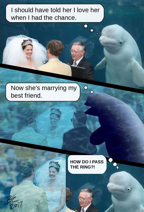 Beluga Whale Attends A Wedding Inspires A Hilarious Photoshop Battle