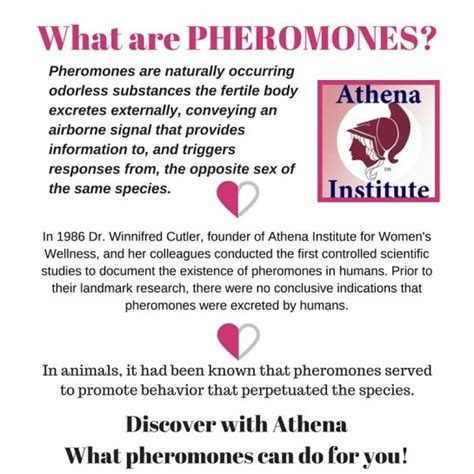 Discover The Science Of Pheromones And Their Effects On Human Behavior