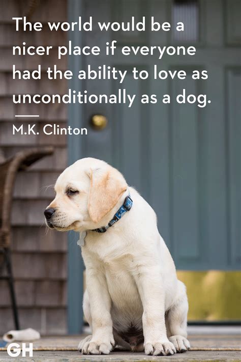Why Do We Love Dogs Quotes