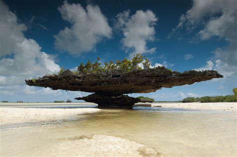 Aldabra Atoll Seychelles Seychelles Beautiful Islands Wonders Of