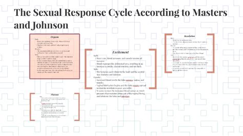 The Sexual Response Cycle According To Masters And Johnson By Jerry Morrow On Prezi