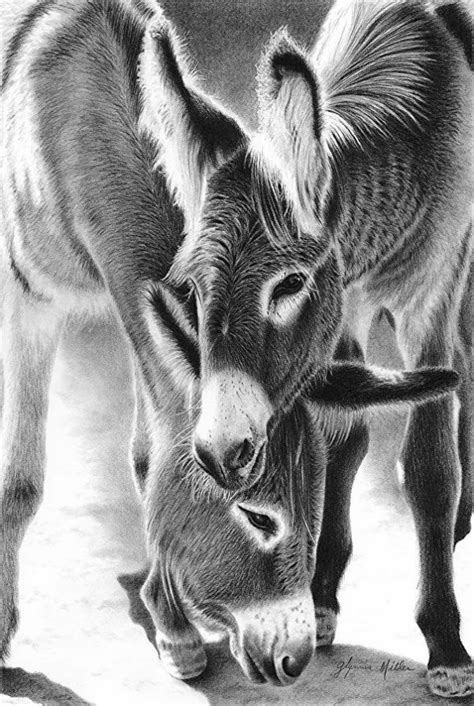 85 Simple And Easy Pencil Drawings Of Animals Buzz Hippy Animals