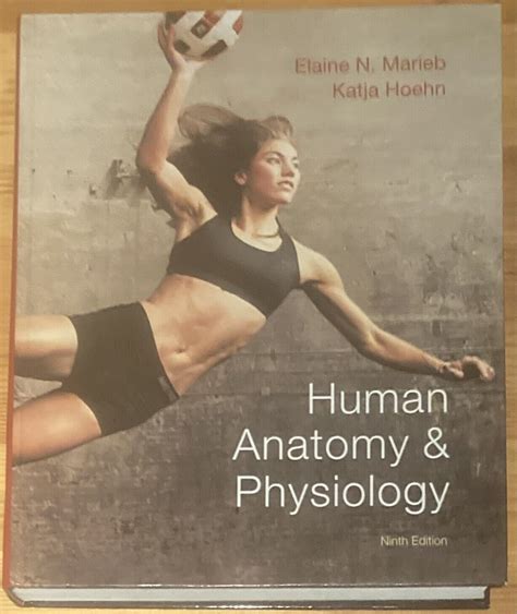 Human Anatomy And Physiology 9th Ninth Edition Elaine Marieb Katja Hoehn