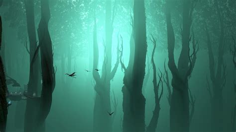 Green Halo Sci Fi Forest Fog Fantasy Wallpapers Hd Desktop And