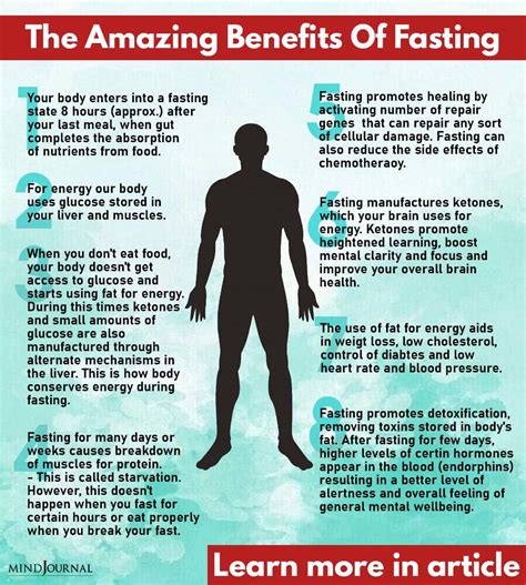 The Amazing Benefits Of Fasting On Our Body According To Science