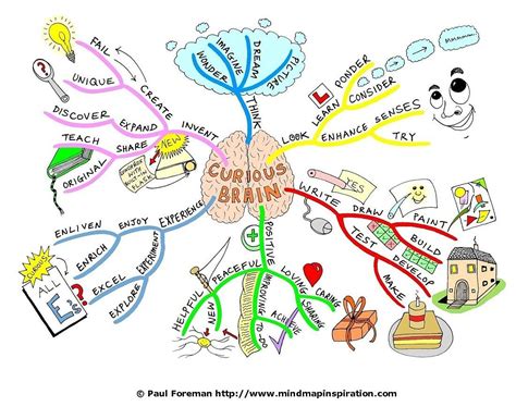 Mind Map Of The Curious Brain Quote Worthy Creativity Brain