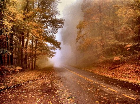 Autumn Mist A Foggy Misty Autumn Day On The Blue Ridge Pa Flickr