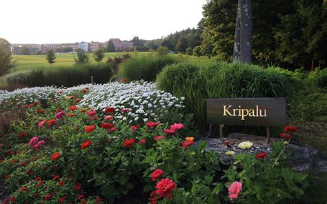 Work should never really be done. Five Ways to Take Your Kripalu Experience Home | Kripalu