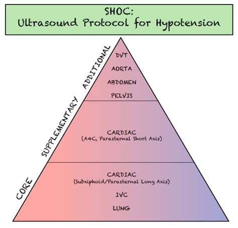Rapid Ultrasound For Shock And Hypotension Rush Sonoguide