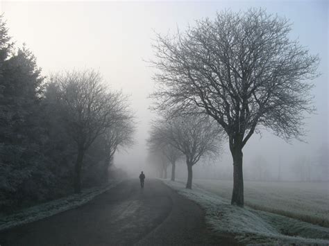 Free Images Tree Snow Girl Fog Road Mist Sunlight Morning