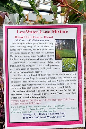 LessWater Lawn Mixture Dwarf Tall Fescue Blend Packets Rockin E