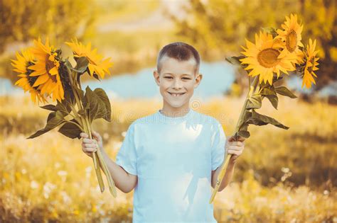 Happy Boy With Bouquet Of Sunflowers Against Summer Field Stock Image