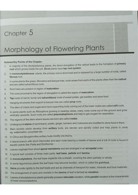 Solution Morphology Of Flowering Plants Rapid Revision Neet Studypool