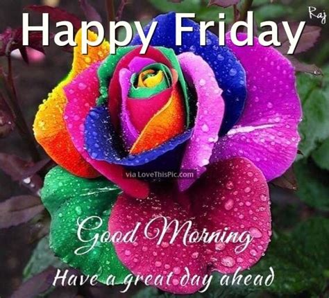 Happy Friday Good Morning Have A Great Day Ahead Pictures Photos And
