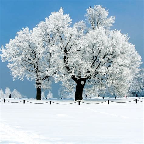49 Beautiful Winter Scenes Desktop Wallpapers