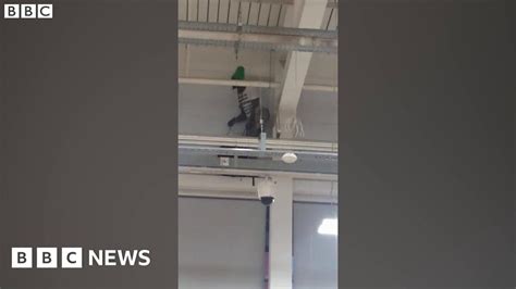 Security Guard Filmed In Tesco Extra Reading Roof Protest Bbc News