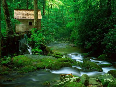 Hdmax Reagan Mill Roaring Fork Great Smoky Mountains National Park