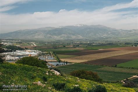 אקה, שגדל באקדמיה של ורונה עצומה - ביסוס עיר מחוז איתנה כמוצב הקדמי של מדינת ישראל ...