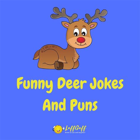 20 Hilarious Deer Jokes And Puns Laffgaff