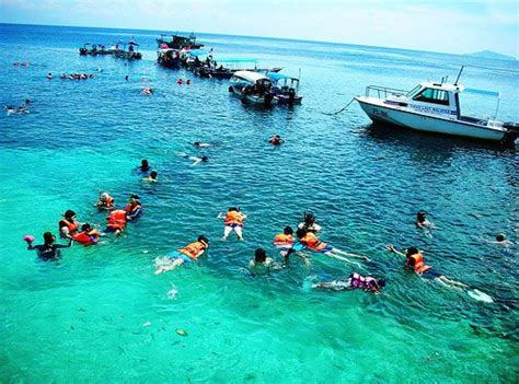 Wife and i had dinner at one of the beach front bbq seafood restaurants. Snorkeling at Pulau Perhentian. | Redang island, Vacation ...