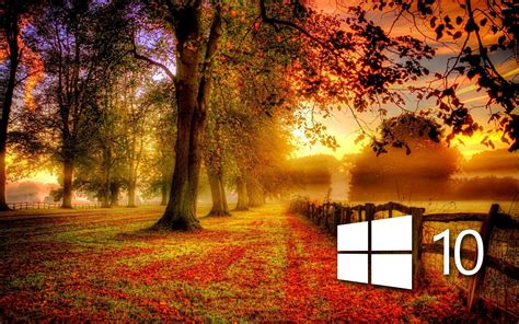 Windows 10 In The Fall Simple Logo Wallpaper Computer Wallpapers 46861