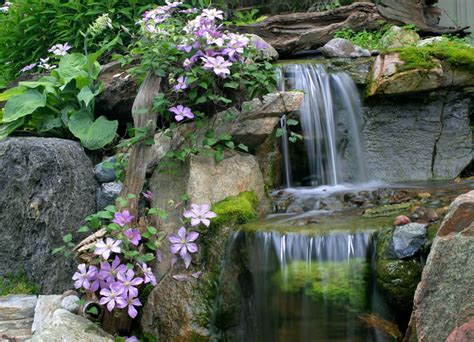 Aquascape Your Landscape Waterfalls The Perfect Abode For Moss