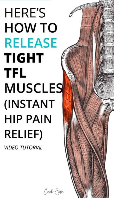 Effective Tfl Muscle Release Technique Artofit