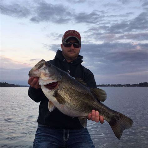 Bullhead catfish, channel catfish, and green sunfish are other possible catches at pelican lake. Weather Conditions, Spawning Phase Will Play A Big Role In ...