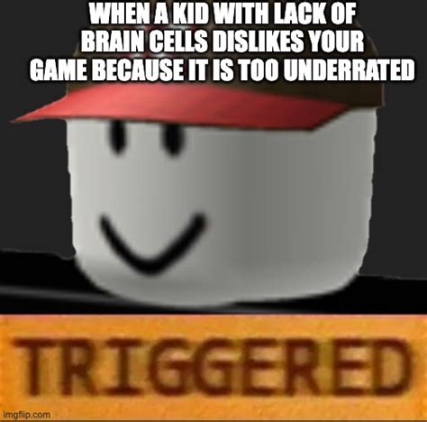 When A Kid With Lack Of Brains Cells Dislikes Your Game Because It Is