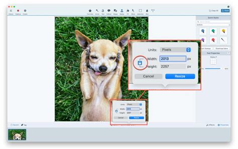 Ultimate Guide Resize Images For Web In High Quality 2023