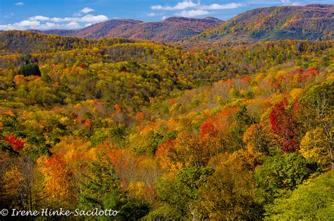 West Virginia Fall Foliage Photo Tour Osprey Photo Workshops And Tours
