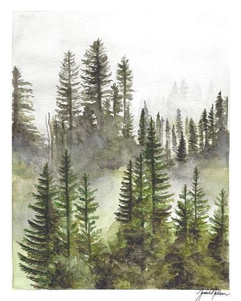 Evergreen Tree Watercolor Forest Watercolor Foggy Forest Mountain