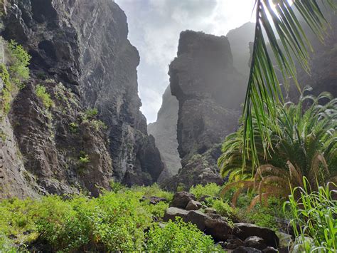 Barranco De Masca Reapertura De Un Sendero Espectacular De Tenerife