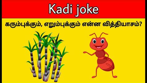 Kadi Jokes Tamil Quiz Mokka Jokes Braingame Riddles Time Pass