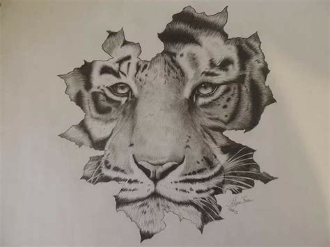 Tigre Dibujado A Lapiz Imagui