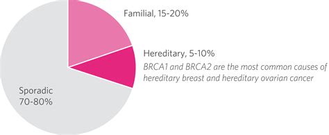 Breast Cancer Hereditary Factors