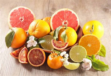 List Of Citrus Fruits Names To Teach Preschoolers And Kids