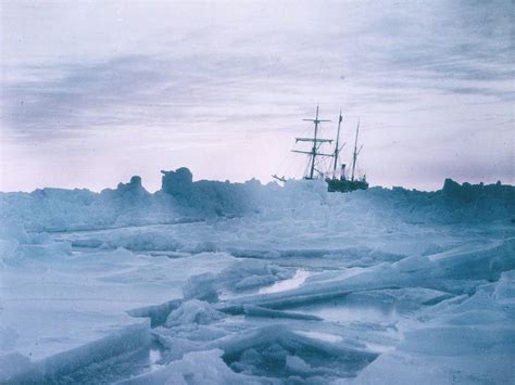 Incredible Discoveries That Were Found Trapped In Ice For Decades Obsev