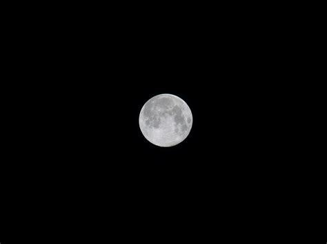 Moonfull Moonsuper Moonmoonlightnight Free Image From