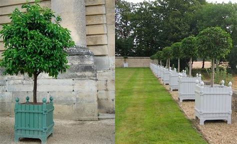 Use our store locator to find the nearest at. Incredible Design of Wood Planter Boxes for Big Plants ...