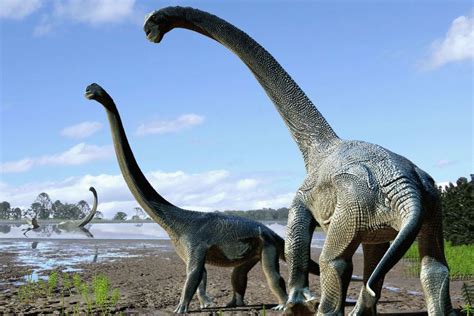 A Giant Dinosaurs Found In Australia