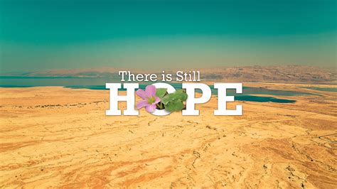 Sermon Series There Is Still Hope Chelten A Church Of Hope